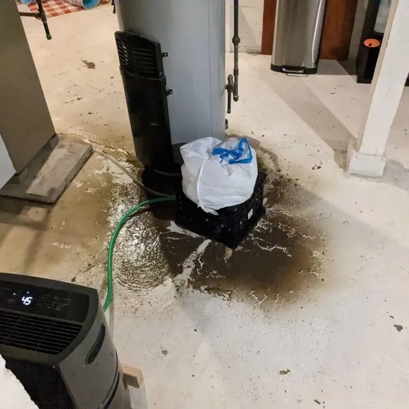 Sewage Backup Cleanup Service in Scottsboro, AL